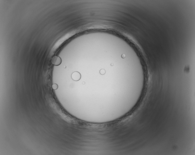 X0000116790874200912181052