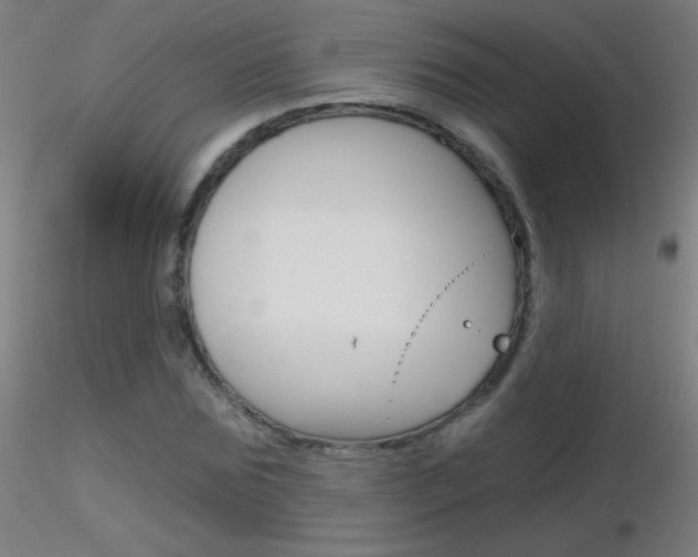 X0000116790875200912181052