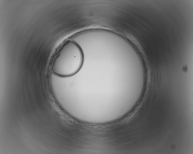 X0000116790876200912181052