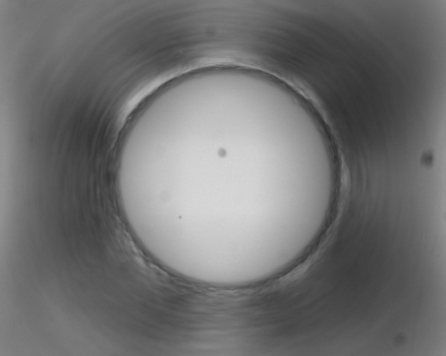 X0000116790877200912181052