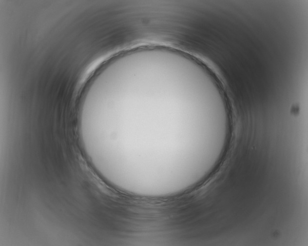 X0000116790878200912181052