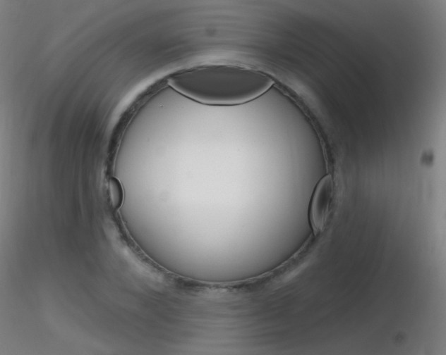 X0000116790880200912181052
