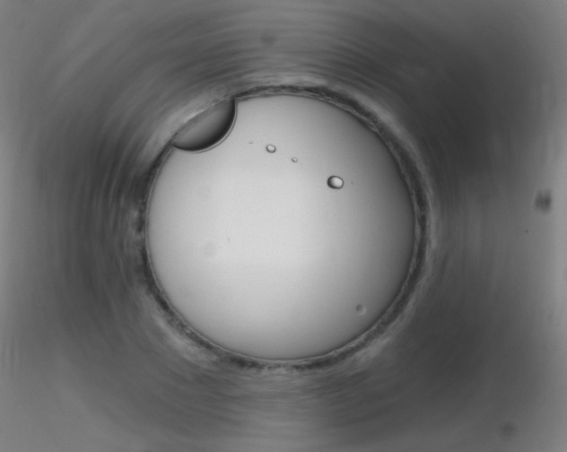 X0000116790881200912181052