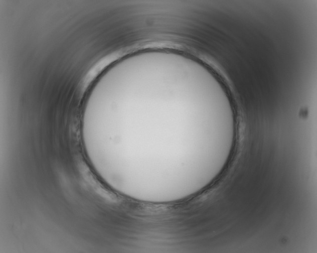 X0000116790882200912181052
