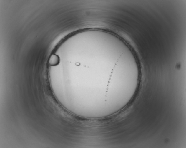 X0000116790883200912181052