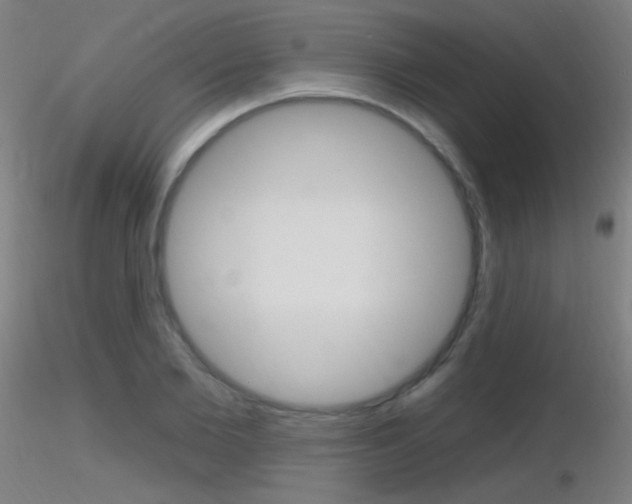 X0000116790885200912181052