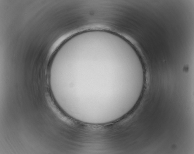 X0000116790886200912181052