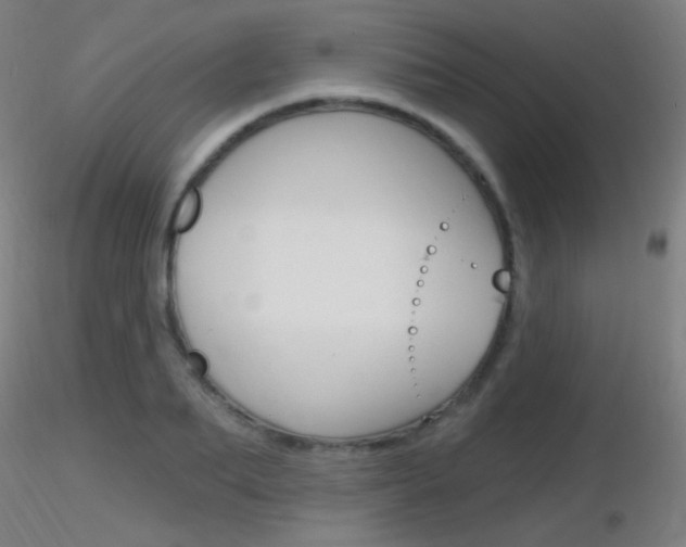 X0000116790887200912181051