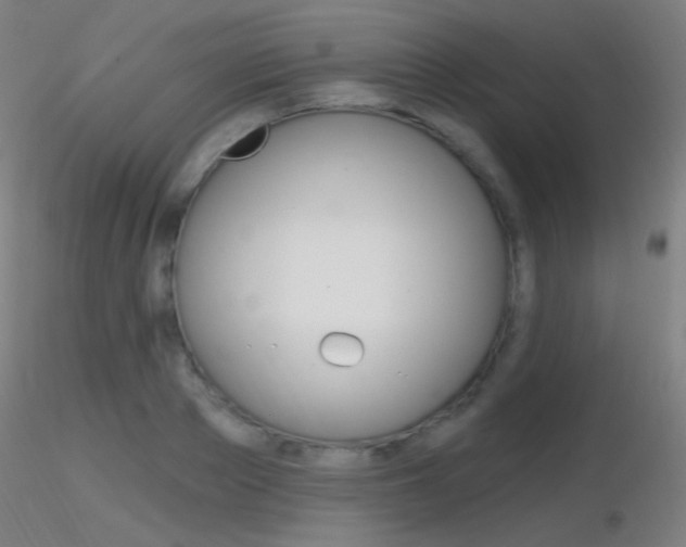 X0000116790889200912181051