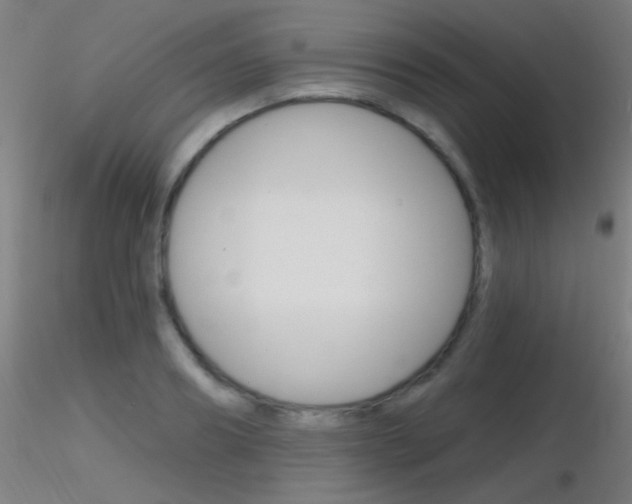 X0000116790890200912181051