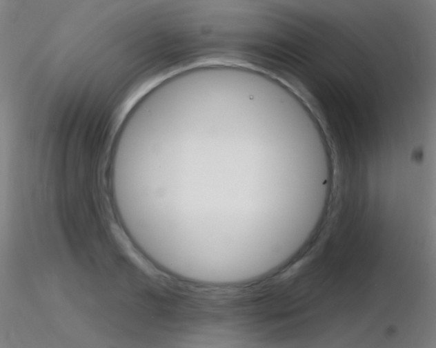 X0000116790893200912181051