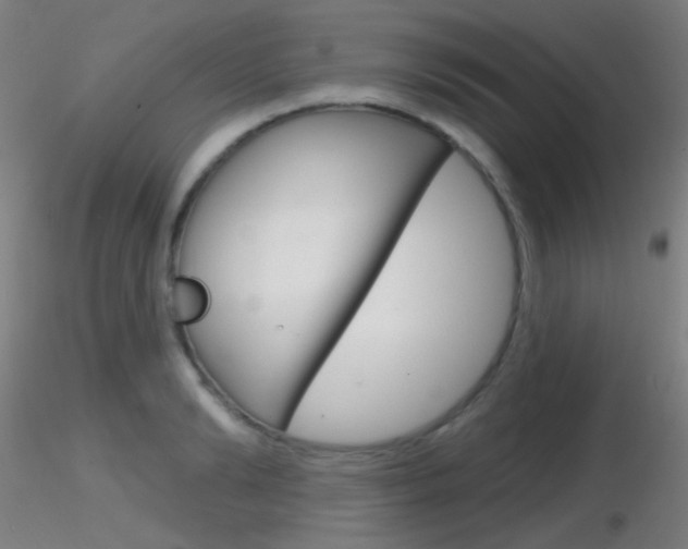 X0000116790894200912181051