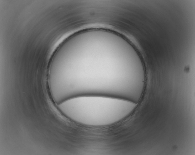 X0000116790895200912181051