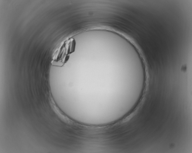 X0000116790897200912181051