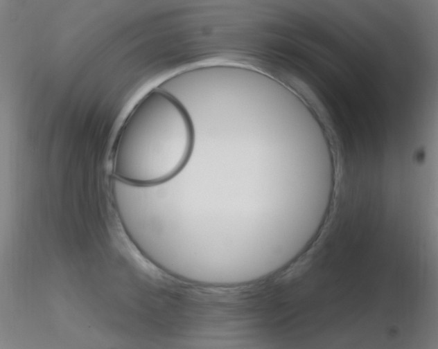 X0000116790900200912181051