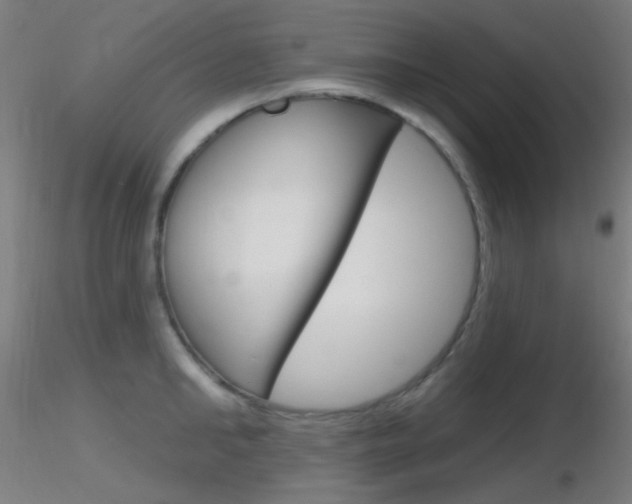 X0000116790902200912181051