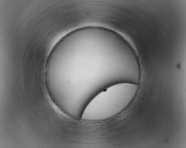 X0000116790903200912181051