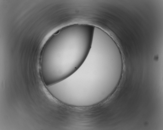 X0000116790904200912181051