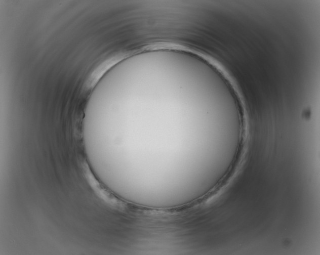 X0000116790905200912181051