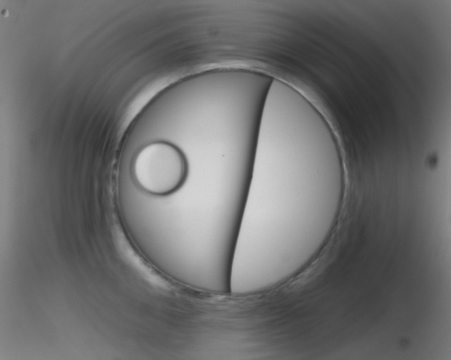 X0000116790906200912181051