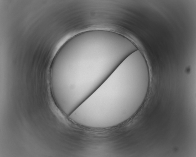 X0000116790907200912181051