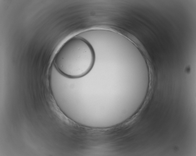 X0000116790908200912181051