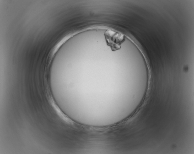 X0000116790909200912181051