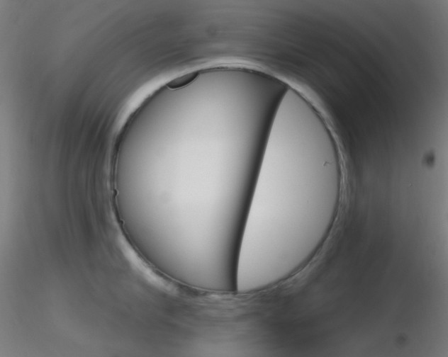 X0000116790910200912181051