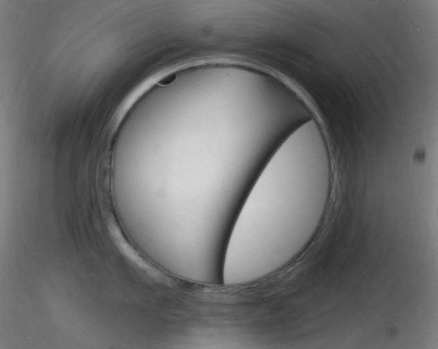 X0000116790911200912181051