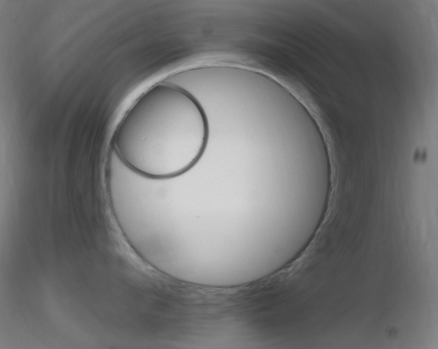 X0000116790912200912181051