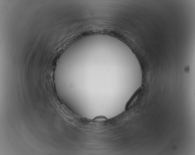 X0000116790914200912181050