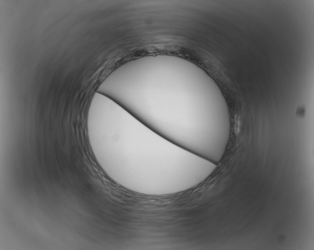 X0000116790915200912181050