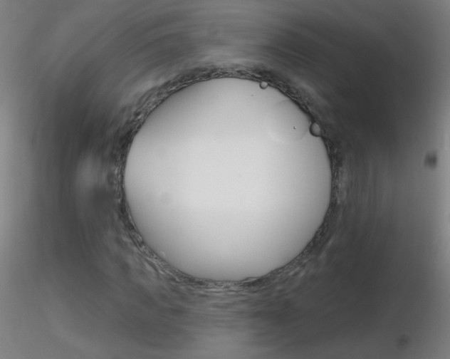 X0000116790917200912181050