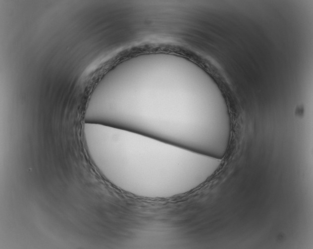 X0000116790919200912181050