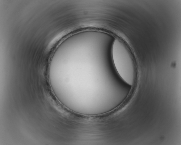 X0000116790922200912181050