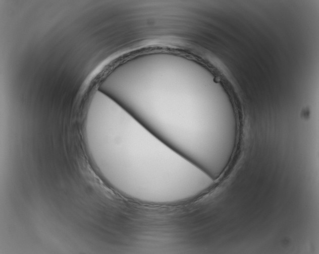 X0000116790923200912181050