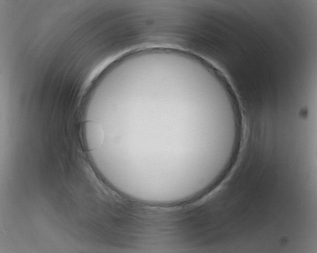 X0000116790925200912181050