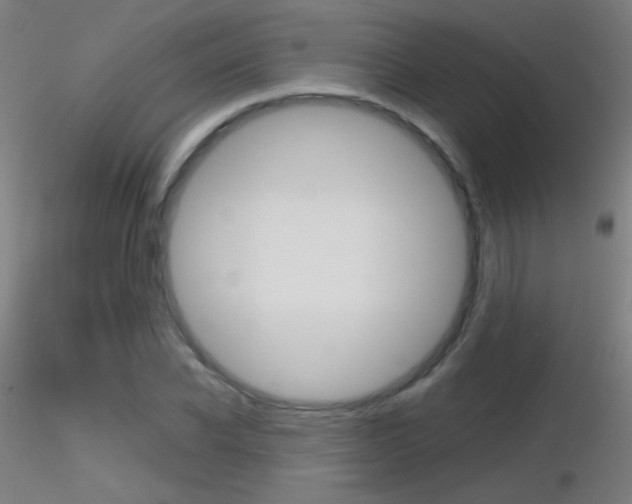 X0000116790926200912181051