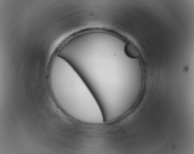 X0000116790927200912181051