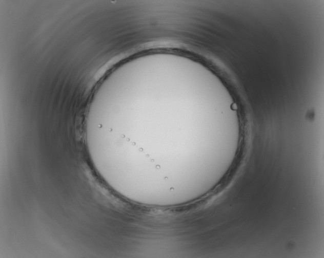 X0000116790929200912181051