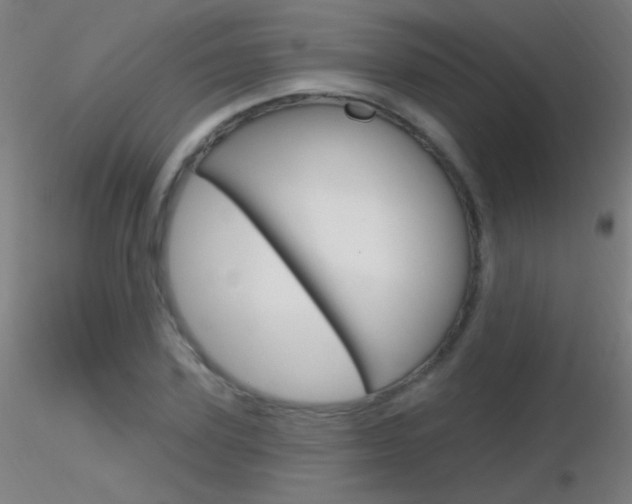 X0000116790931200912181051