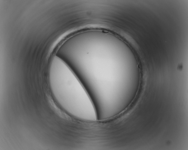 X0000116790934200912181051