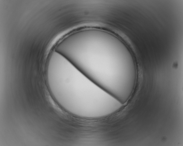 X0000116790935200912181051