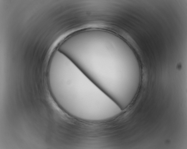 X0000116790939200912181051