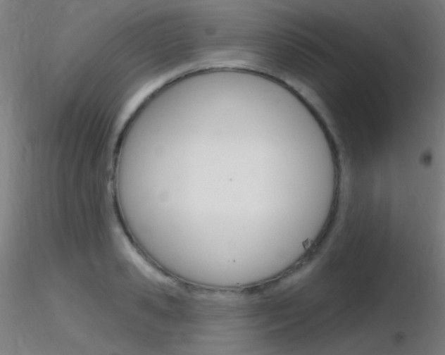 X0000116790941200912181051