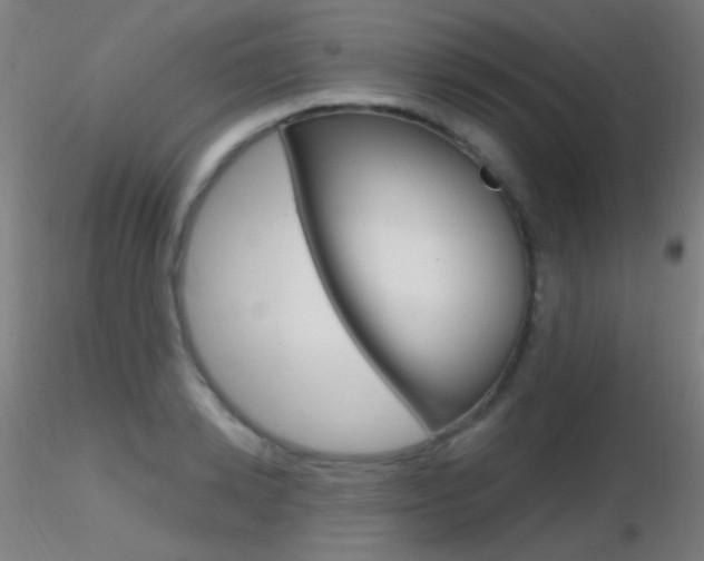 X0000116790942200912181051