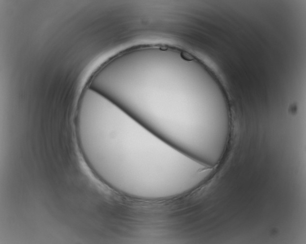 X0000116790943200912181051