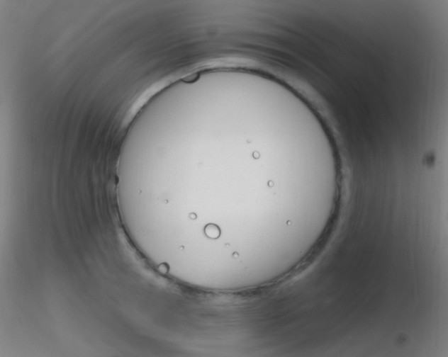 X0000116790945200912181051