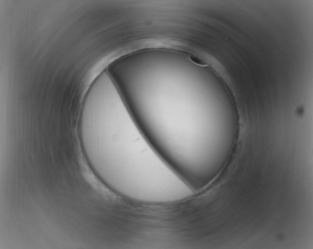 X0000116790946200912181051