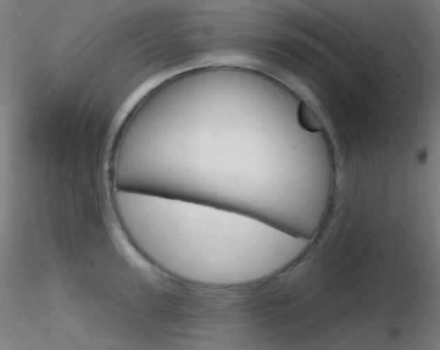 X0000116790947200912181051